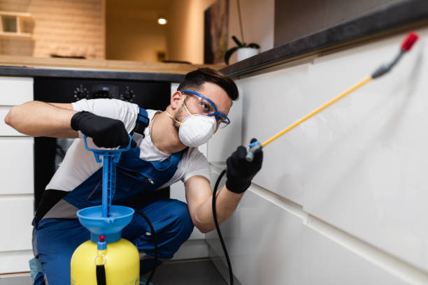 Best Affordable Pest Control Services  in Borrego Springs, CA