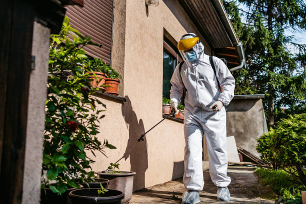 Borrego Springs, CA Pest Control Company