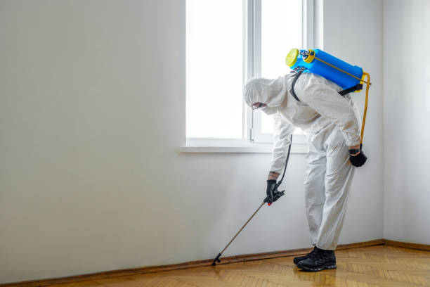Best Residential Pest Control  in Borrego Springs, CA